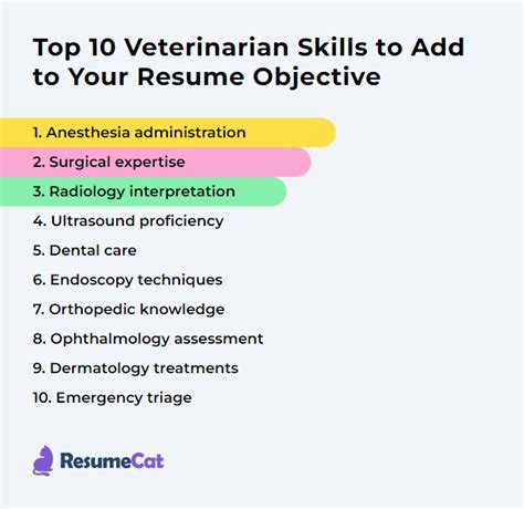Top 17 Veterinarian Resume Objective Examples Resumecat