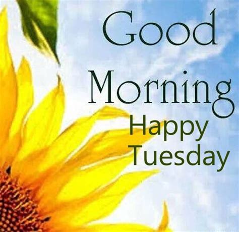 With this cool collection we also share good tuesday morning, good morning tuesday quotes, good. Good Morning Quote Happy Tuesday Pictures, Photos, and ...