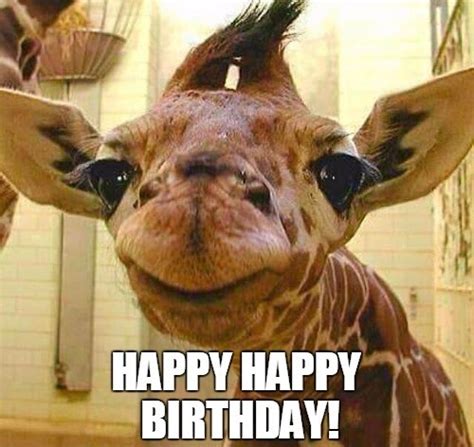 Giraffe Birthday Memes Wishesgreeting