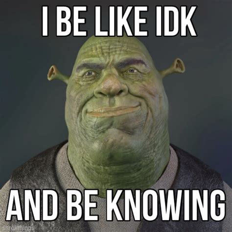 I Be Like Idk And Be Knowing Meme I Be Like Idk And Be Knowing Know