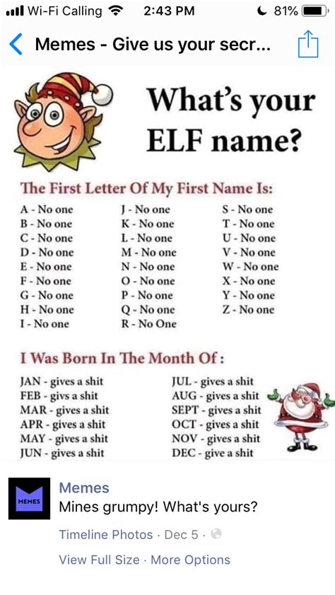 Pin By Heim On Funny Memes Whats Your Elf Name Elf Names Lettering