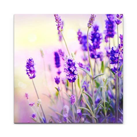 Lavender In The Sunshine Photographic Print On Canvas East Urban Home