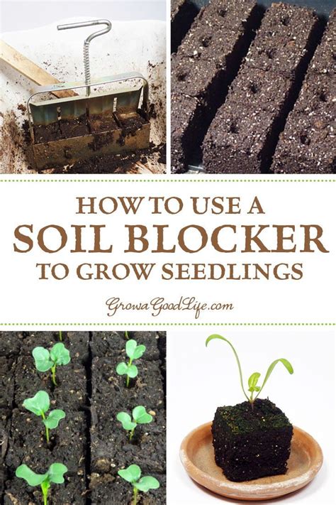 Soil Blocks To Grow Seedlings Growing Seedlings Organic Gardening