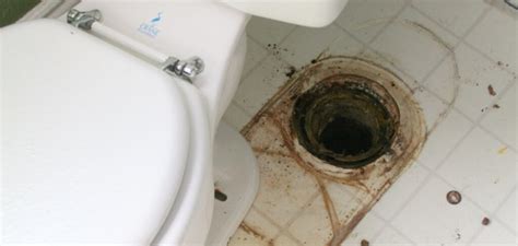 How To Tell If Toilet Is Leaking Under Tile 12 Effective Ways
