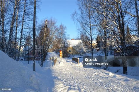 Beautiful Winter Forest Scene Of Tampere Finland Stock Photo Download