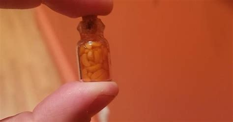 What Is This A Jar Of Peaches For Ants Album On Imgur
