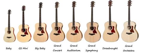 Taylor Guitars Categorized By Shape Six String Acoustic