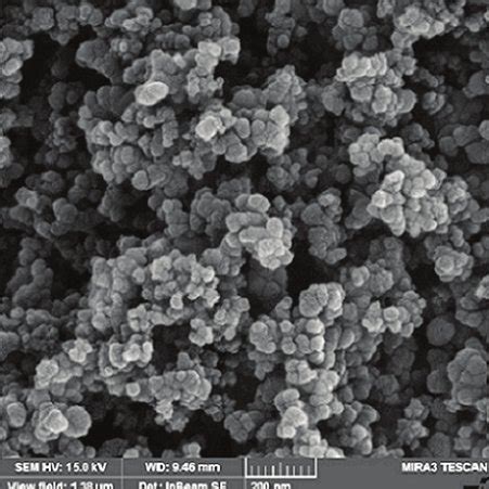 Sem Image Of Zinc Oxide Nanoparticles Download Scientific Diagram