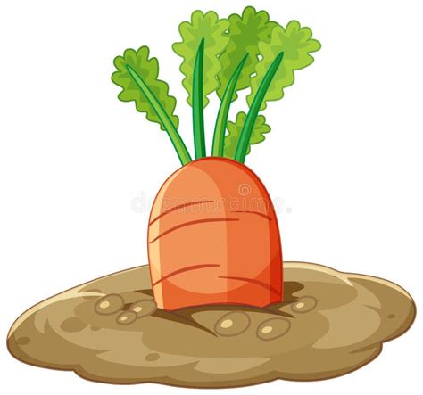 Carrot Root In Soil Cartoon Style Isolated Stock Vector Illustration