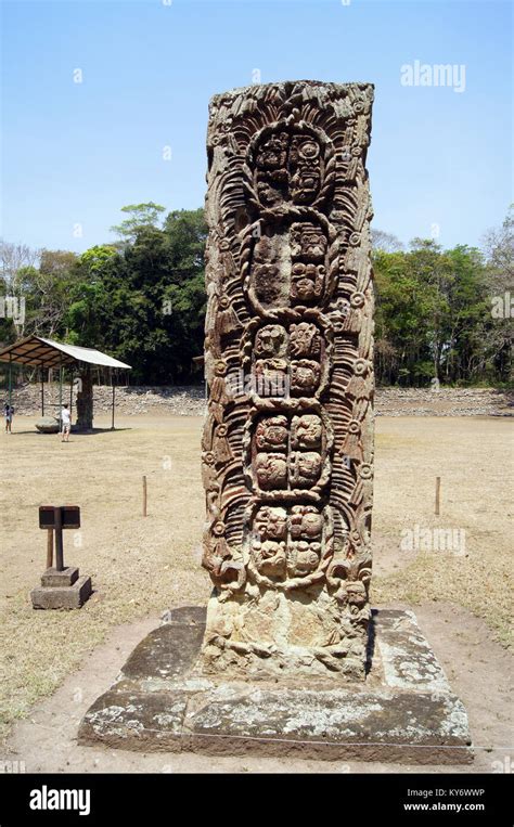 Estela Maya Antiguo En La Plaza En Copán Honduras Fotografía De Stock