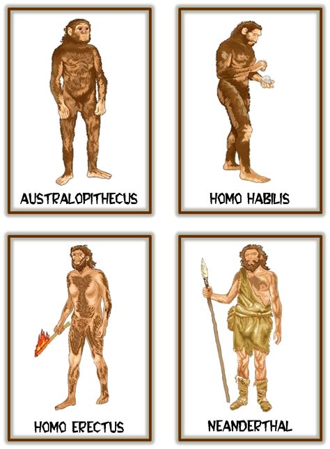 Prehistoria Prehistoria Primaria Evolucion Del Hombre