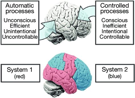 A Illustration Of The Categorical View Of Automatic And Controlled