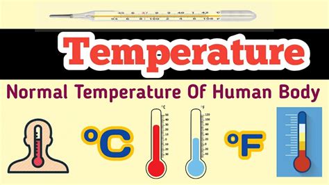 Normal Temperature Of Human Body Human Body Normal Temperature