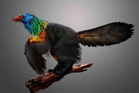 Scientists Discover 161 Million Year Old Rainbow Dinosaur With