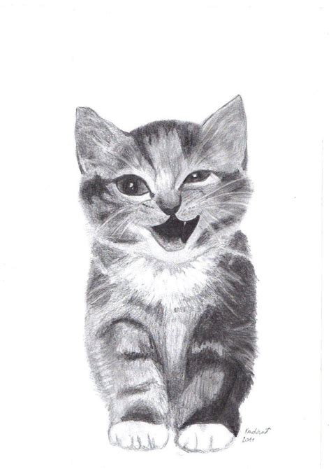 How To Draw Cat And Kitten How To Draw A Cute Cat Cats And Kittens