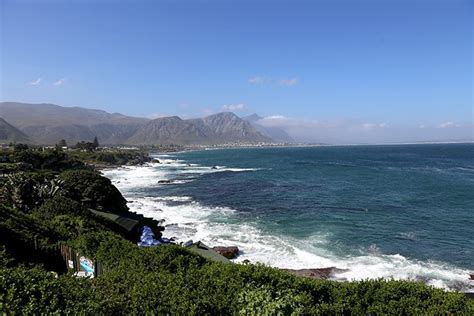 5 Things To See And Do In Hermanus South Africa Davids Been Here