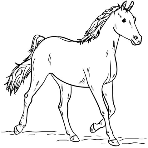 Desenhos De Cavalos Para Imprimir E Colorir Dicas Pr Ticas