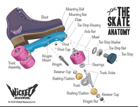 2 Skate Anatomy Chart 🛼 Rollerskating Roller Skate Shoes Roller