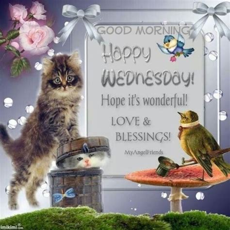 We did not find results for: Good Morning Happy Wednesday Blessings Pictures, Photos ...