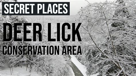 secret places deer lick conservation area youtube