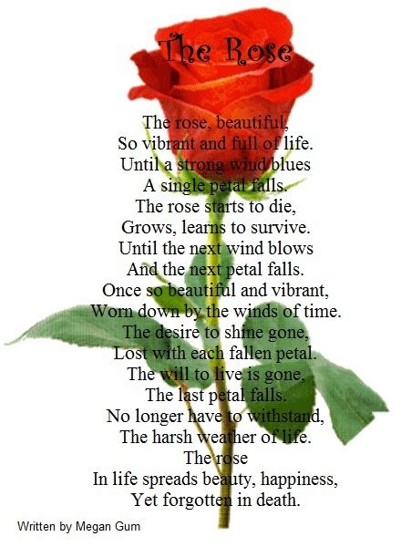 Tribute To A Rose Poems For Him Love Poems Rose