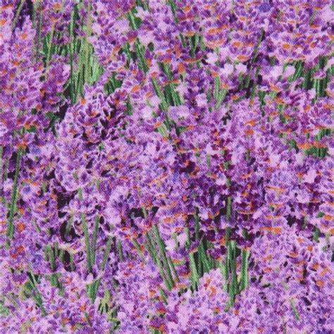 Lavender Flower Fabric By Elizabeths Studio Modes4u