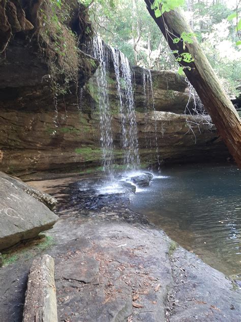 Waterfall At Bankhead National Forest In Alabama Travel And Rhum