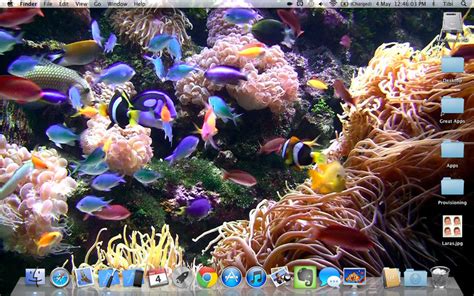 48 Free Animated Aquarium Desktop Wallpaper On Wallpapersafari