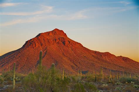 Expose Nature Sonoran Desert Sunset Glow Oc 4000x2668