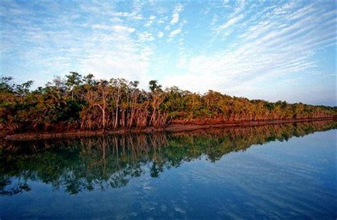 Best Place In The World Sundarban Bd