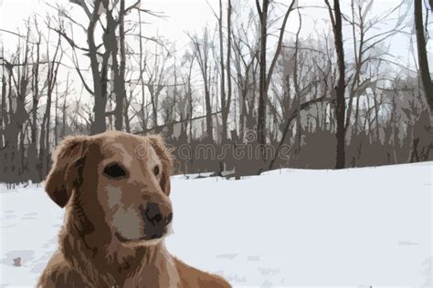 Golden Retriever In Snowy Woods Stock Photo Image Of Abstract Winter