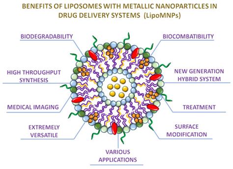 Ijms Free Full Text The Combination Of Liposomes And Metallic