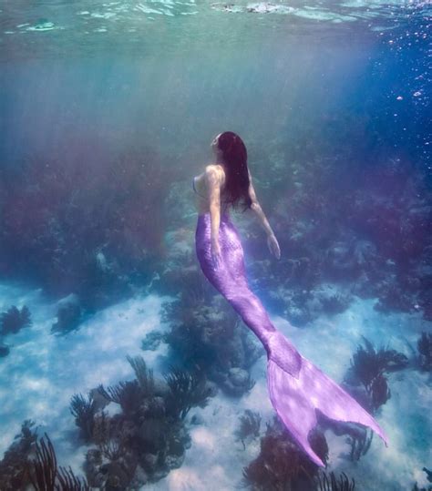 Pinterest Misstaylor 🥀 Mermaid Photography Real Mermaids Underwater Photography Mermaid
