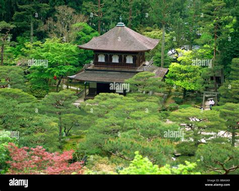 Ginkaku Ji Temple The World Cultural Heritage Kyoto Japan Stock