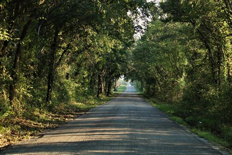 Long Tree Lined Country Road Free Stock Photo Public Domain Pictures
