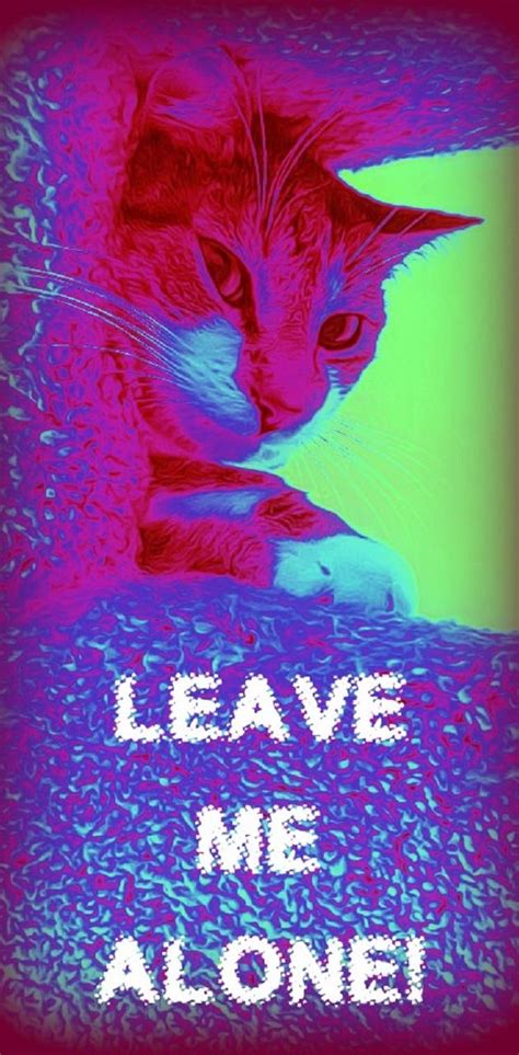 Leave Me Alone Cat Wallpaper By 1artfulangel Download On Zedge 3922