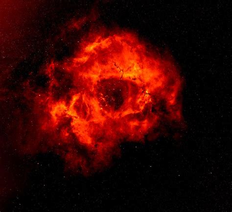 Filerosette Nebula S Wikipedia