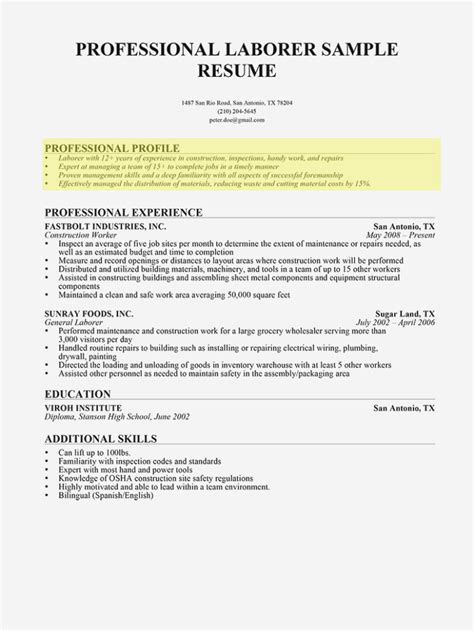 How To Make A Professional Resume Ten Ways Resume Summary Realty