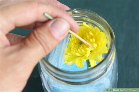 Maybe you would like to learn more about one of these? 6 Easy Ways to Dry Flowers - wikiHow