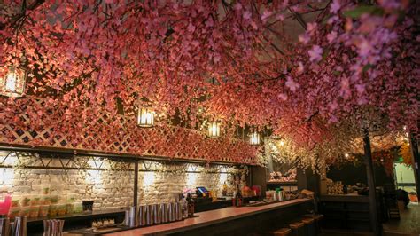 This Years Cherry Blossom Pub Has 90000 Flowers Dc Refined