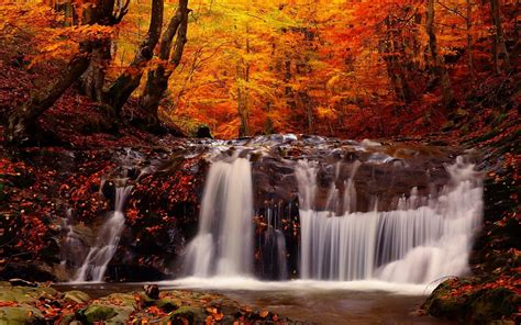 Landscape Fall Forest River Waterfall Trees