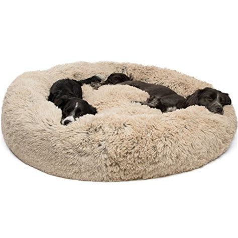 Even the senior cat with arthritis climbs aboard and settles into this cuddler. Top 5 Best Dog Beds to Reduce Anxiety - Got Poop AZ