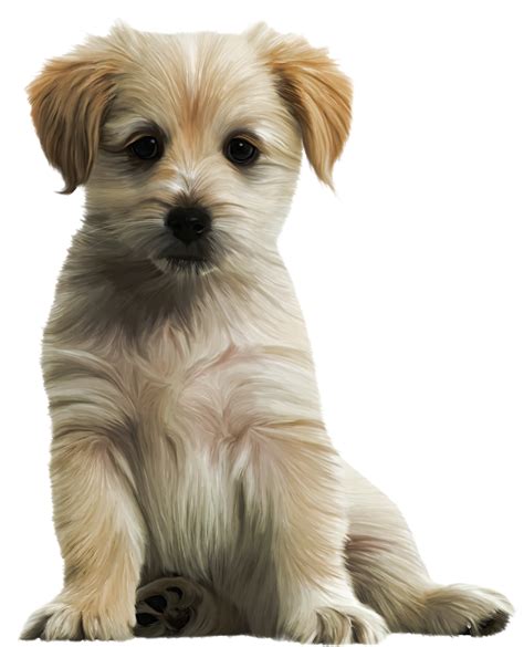 Free Sad Puppy Png Download Free Sad Puppy Png Png Images Free