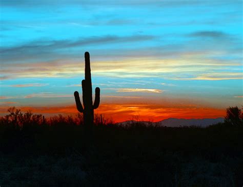 Sonoran Sojourn Desert Sunset Red Sunset Pictures To Paint
