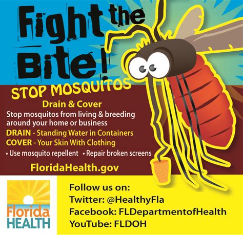 Mosquito Borne Disease Prevention Florida Department Of Health