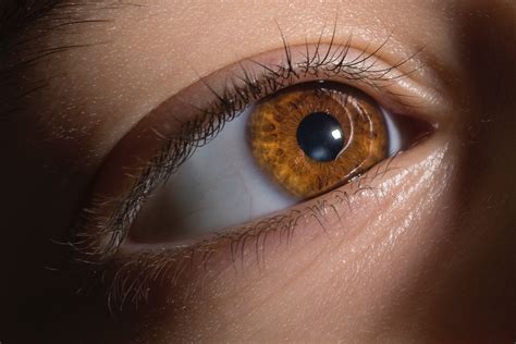 Free Stock Photo Of Brown Eye Iris
