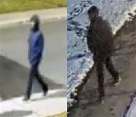 police search for man who allegedly followed sexually assaulted toronto woman toronto