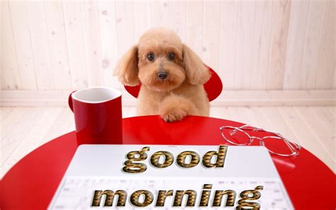 Good Morning Puppy morning good morning morning quotes good morning 