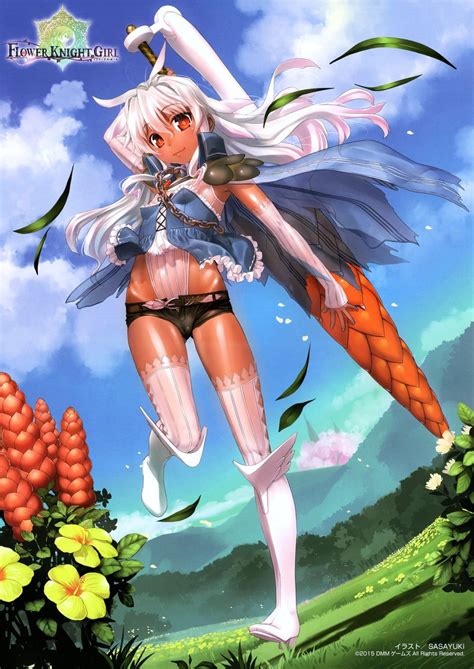 Flower Knight Girl Bd Informations Cotes