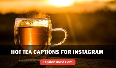 250 Hot Tea Captions For Instagram And Quotes